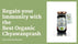 Know how you can regain your Immunity with the Best Organic Chyawanprash?