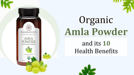 Nature's Exile Organic Amla Powder and its 10 Health Benefits